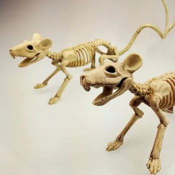 30 СМ Украшение на Хэллоуин Скелет животного Украшение для вечеринки в доме на Хэллоуин Модель костей мыши Ужасов Реалистичные принадлежности для вечеринок
