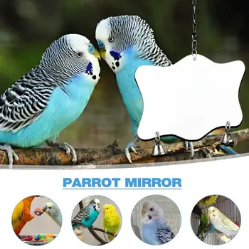 Большое Зеркало Для Попугая В Клетке, Игрушечное Зеркало Для Попугая, Одностороннее Зеркало Для Попугаев, Игрушки Для Птиц, Попугайчики, Неразлучники